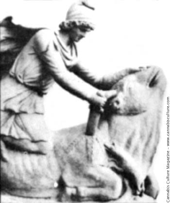 Mithra slays bull to drink the sacred cannabis blood. Note the pot leaf shape of the blood.